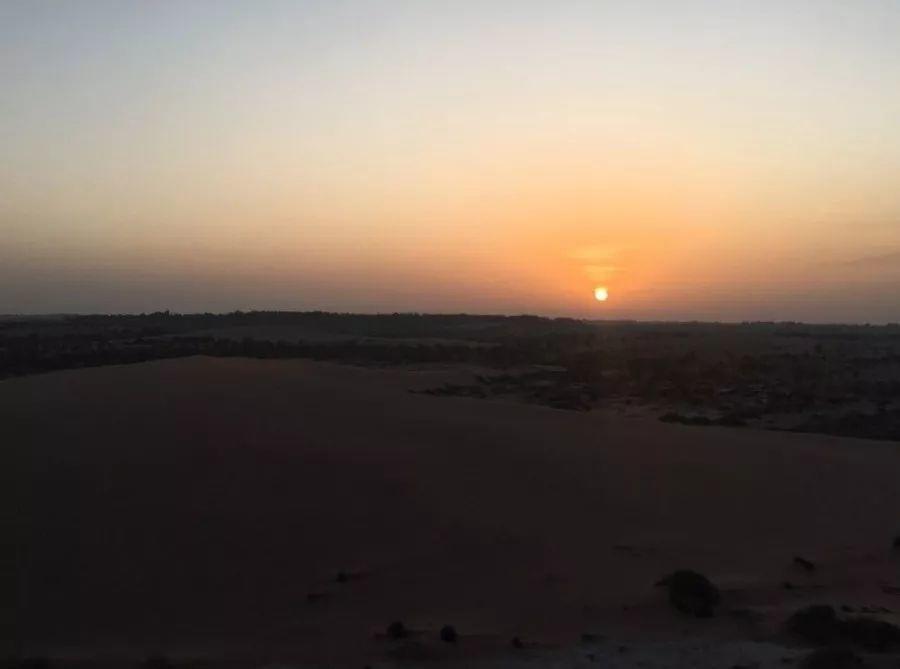 纪录片 | 小金团队暴走沙漠，为你种下一片绿色